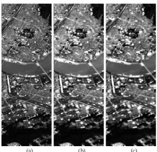 Fig. 2. Noise bands of Hyperion data: (a) strip noise, (b)  random noise