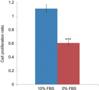 Fig. 4. (A) Reverse transcription-polymerase chain reaction results. (B)  p75 siRNA significantly suppressed p75 mRNA levels in notochordal  cells cultured in 0% FBS