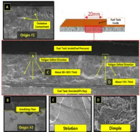 Fig.  2.  Result  of  Crack  Analysis