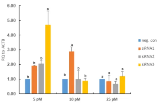 Fig.  5.  TRAF4  expression  in  siRNAs  treated  pk15  cells    ( a,b P   <  0.05