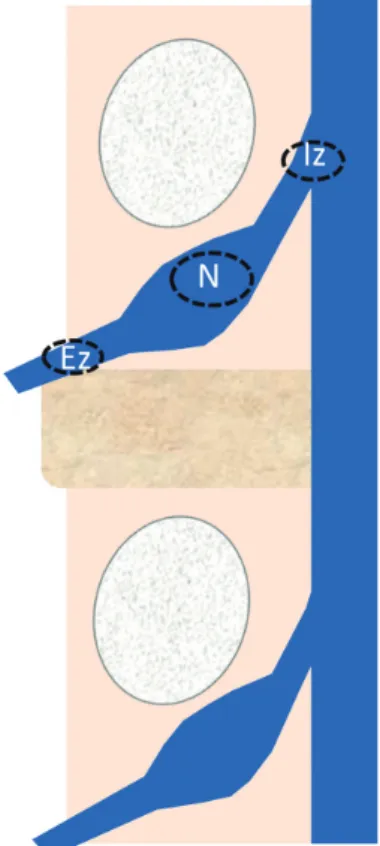 Fig. 1. The regions of interest were placed in the intraspinal zone (Iz),  nerve root (N), and extraforaminal zone (Ez)