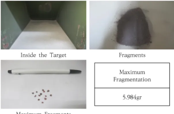 Fig.  7.  Fragmentation  result  confirm