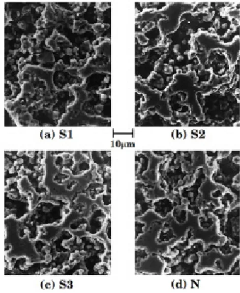 Fig. 3. SEM photographs of the sintered SiC