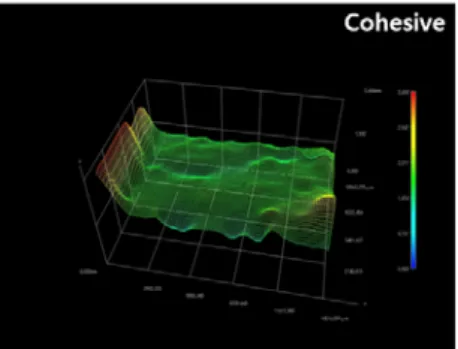 Fig.  2.  Observation  and  analysis  using  multi  focus