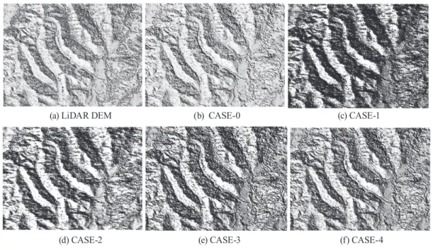 Fig. 9. The entire DEM with shaded relief (CASE-3)