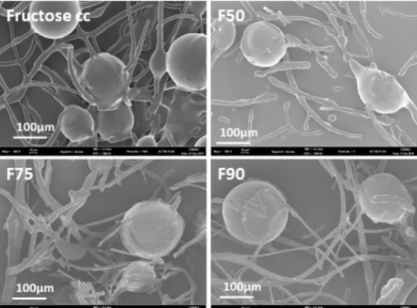 Table  2.  Uniformity  of  dexibuprofen  in  physical  mixtures  and  solid  dispersions  prepared  by  using  Rotary  Hot-melt  Granulation  (n=10,  standard  deviation)