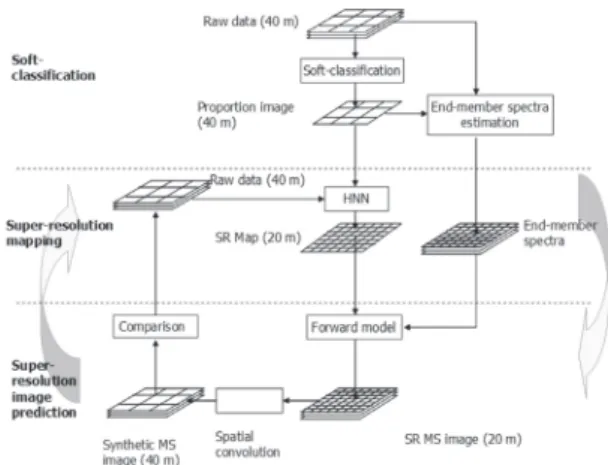 Fig. 1. General model for super-resolution  MS imagery prediction