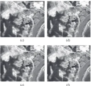 Fig. 6. Some land cover features in (a) original MS image  (false colour composite), (b) increased resolution  MS image to 2.5m spatial resolution from 5 land cover 