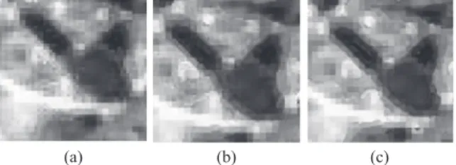 Fig. 8. Effect of zoom factor to spatial resolution increasing  algorithm: (a) zoom factor of 2, (b) zoom factor of 3 and (c) 