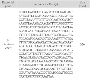 Table 1. Synthesized  V. cholerae ctxB  gene fragment.