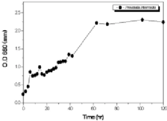 Fig. 5. Cell growth of P. intermedia