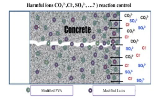 Fig.  9.  A  Diagram  of  diffusion  of  harmful  ions  to  hardened  cement  materials