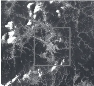 Figure 1. Satellite image of study area