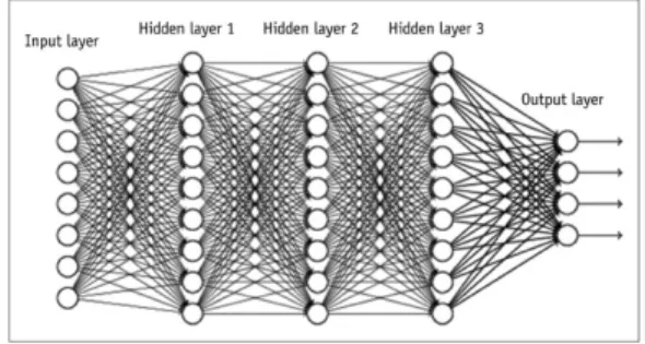 Fig.  4.  Networks  of  ANN