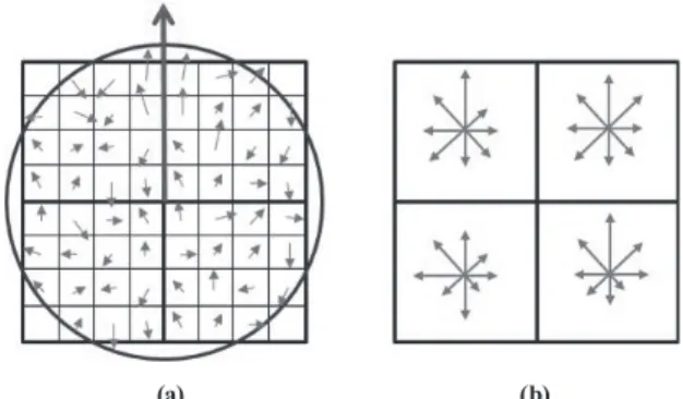 Fig. 1. SIFT descriptor (Lowe, 2004)