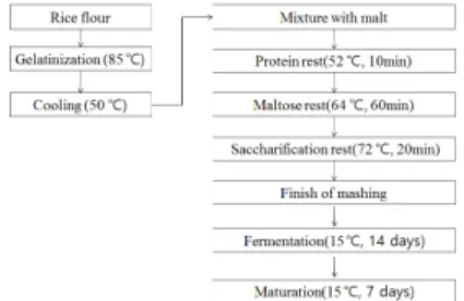 Fig.  1.  Chart  of  manufature  process  od  rice  beer 2.3  효모  분리  동정 효모 분리는 누룩과 쌀을 이용하여 알코올발효 후 발 효조 바닥에 가라앉은 채취하여 효모를 증식시킨 후 희 석평판분리방법을 사용하여 미생물 분리 후 최종적으로  순수 분리하였다