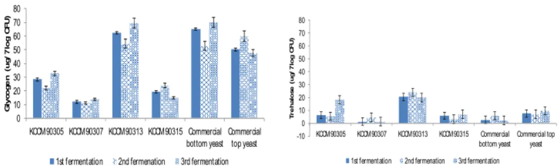 Fig.  3.  Content  of  glycogen  and  trehalose  in  different  type  of  yeasts