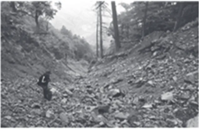 Fig 1. Field survey