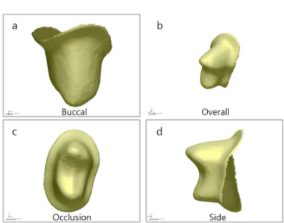 그림 2. 3-dimensional scan data