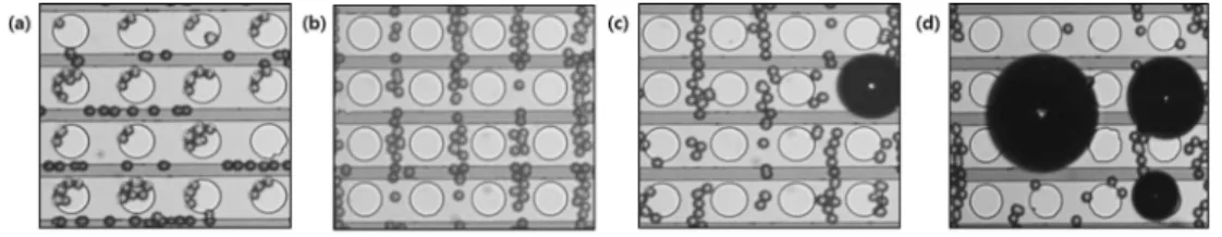 Fig. 7. the experiment to know bubbles rising voltage range. (a) is 0 V, (b) is 150 V, (c) is 260 V, and (d) is 270 V