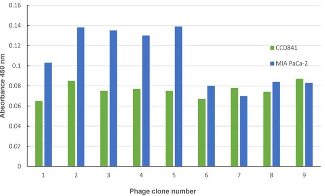Fig. 1. ELISA assays were performed to select a phage that adhered specifically to MIA PaCa-2 cells among nine randomly selected phage  candidate groups