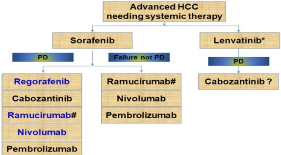 Fig. 2. Therapeutic strategy in advanced hepatocellular carcinoma based on present evidence