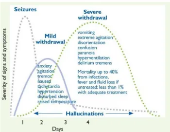 Fig. 1. The onset and course of alcohol withdrawal symptoms by days (Data from Australian Government Department of Health and  Ageing 6 ) 지속되며  보통  1주일  내에  사라지지만  약  10%의  환자는  몇  주  또는  몇  개월,  드문  경우  만성적으로  가는  경우도  있다