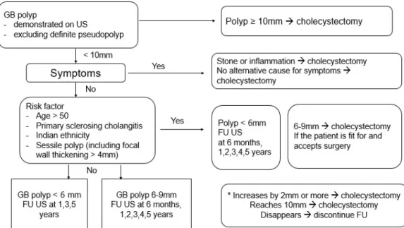 Fig. 2. Management and follow-up of gallbladder polyps according to 2017 European joint guidelines.