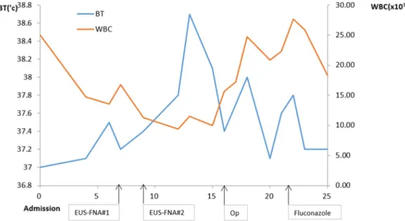 Fig. 3. Changes of WBC count and BT with time and based on treatment. WBC, white blood cell; BT, EUS-FNA, endoscopic  ultrasonography-guided fine-needle aspiration.