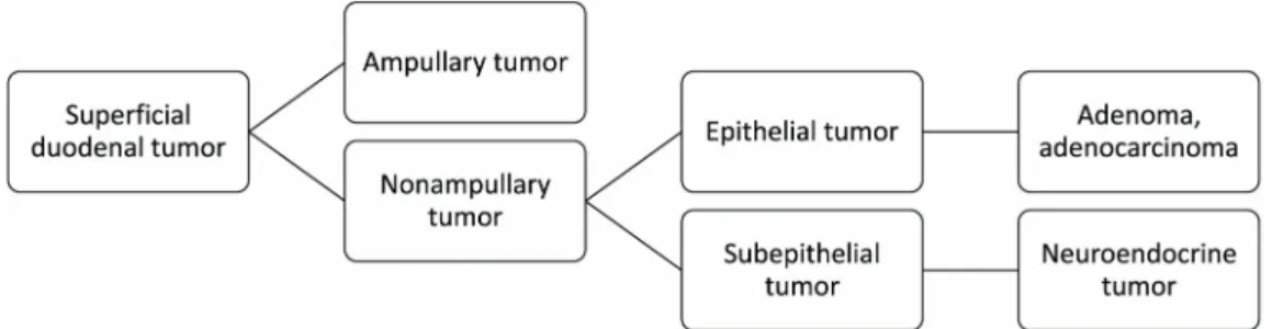 Fig. 1. Classification of superficial duodenal tumors. 수  있기  때문에,  다른  위장관  부위처럼  내시경  절제술을  고려할 수  있다