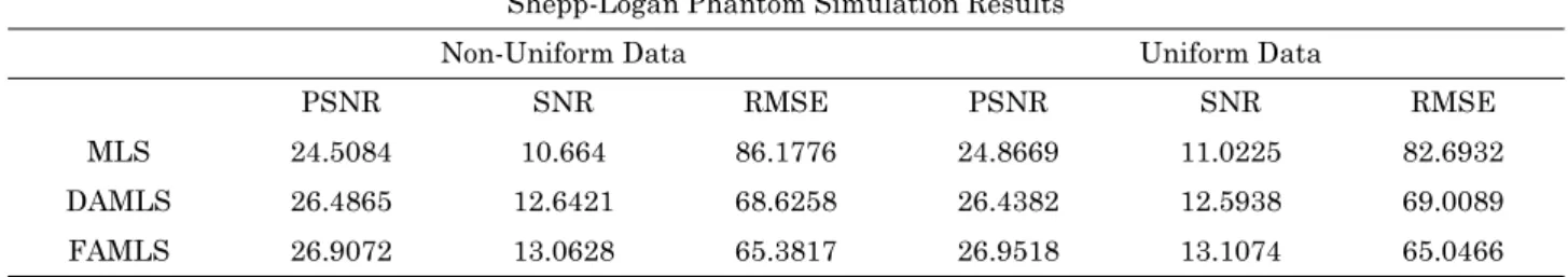 Table 1. Comparison of FAMLS with MLS and DAMLS using Shepp-Logan phantom  Shepp-Logan Phantom Simulation Results