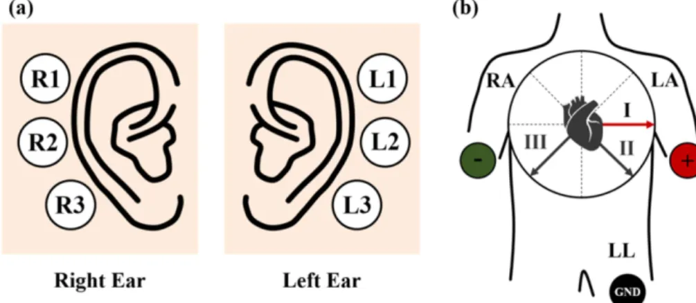 Fig. 1. Experimental paradigm used in this study. The subject looks at a blank screen for 5 s, and then repeatedly performs either eyes open or eyes closed for 10 s 15 times according to an instruction (“OPEN” or “CLOSE”) presented on a monitor, which was 