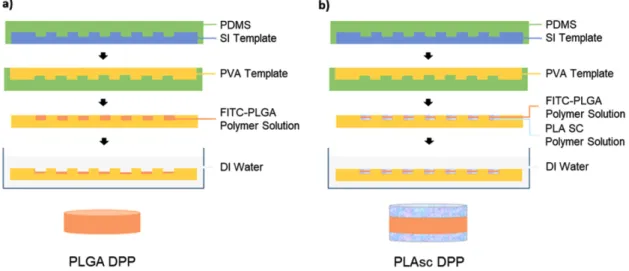Fig. 1. Schematic diagram of the fabrication of discoidal polymeric particles (DPPs). a) PLGA DPP, b) PLAsc DPP