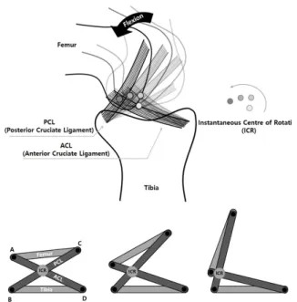 Fig. 2. Instantaneous Centre of Rotation &amp; Four-bar Linkage  Formed of the Knee