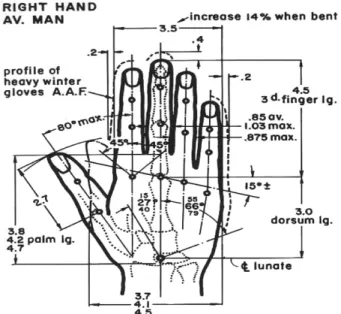 Fig. 1. Structure of human hand.
