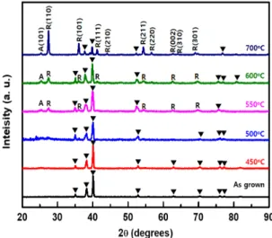 Fig.  4.  XRD  patterns  of  the  3D  TiO 2   nano-wall-like  structures  grown  by  chemical  bath  deposition  at  90  o C  on  Ti  sheet  for  96  hrs  and    various  annealing temperature of 450 °C, 500 °C, 550 