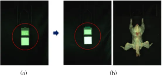 Fig.  4.  Flowchart  of  auto-extracting  the  chicken  carcass  partial  partition