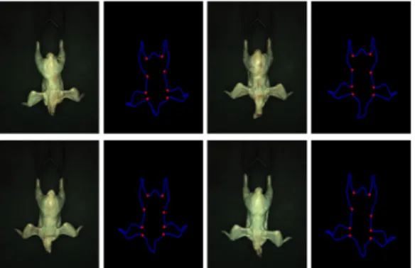 Fig.  11.  Result  of  using  part  segmentation  algorithm  of  chicken  carcasses 3