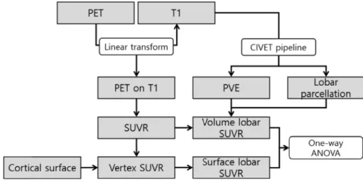 Fig. 1. Comparison of SUVR_vol and SUVR_surf algorithm.