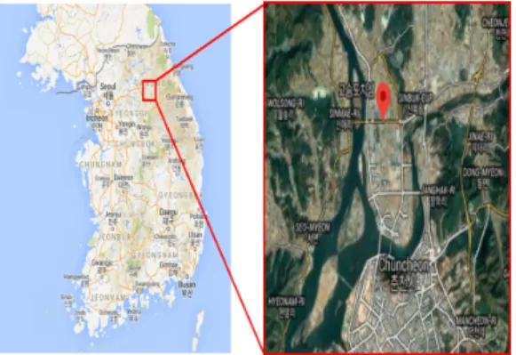 Fig.  1.  Test  plantation  in  Korea