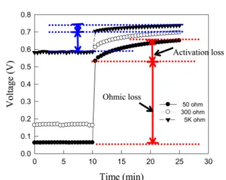 Fig. 6. Voltage change over time for MFC after a current interruption.
