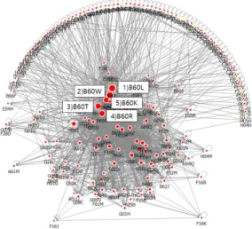 Fig.  8.  Degree  of  Centrality  in  2010year