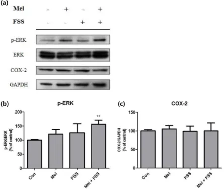 Fig. 1.  Signaling pathway activity of treated 3T3-L1 preadipocytes measured with western blot analysis
