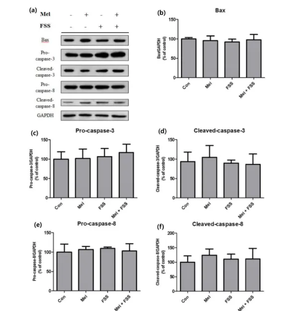 Fig. 3. Apoptotic factors of treated 3T3-L1 preadipocytes measured with western blot analysis