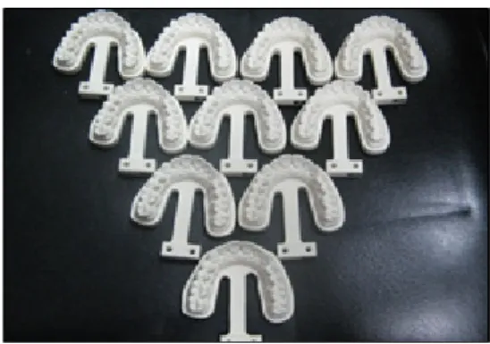 Fig.  1.  Master  model