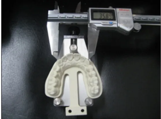 Fig. 3. Reference points and linear measurements on  the  upper  full  arch  model