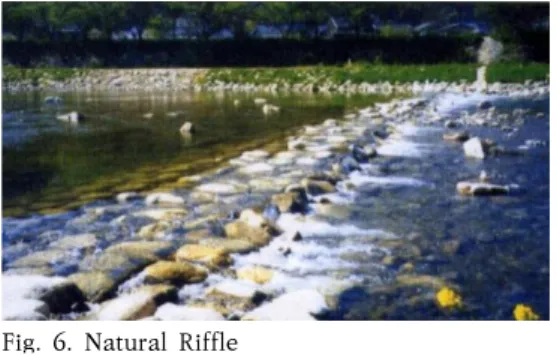 Fig.  6.  Natural  Riffle 