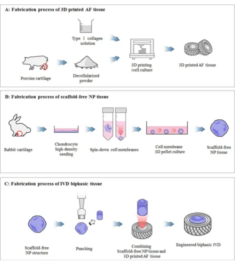 Fig. 1. Schematic flow diagram of research.