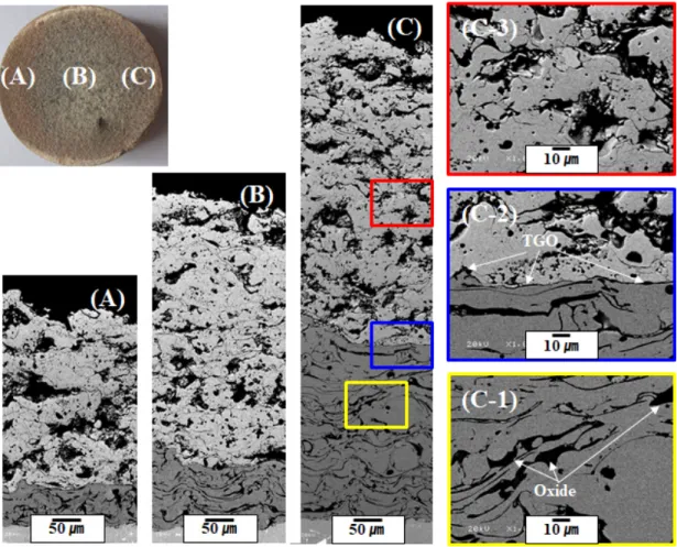 Fig.  6.  Surface  images  of  TBC  species  with  gradient  coating  after  TS  test
