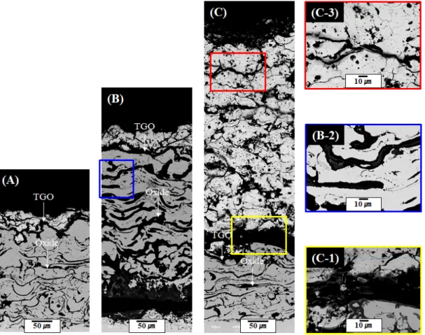 Fig. 7. Cross-specimen sectional SEM images of TBC with gradient coating after 98 cycles TS test : (A) Thin part,  (B)  Middle  thickness  part,  and  (C)  Thick  part